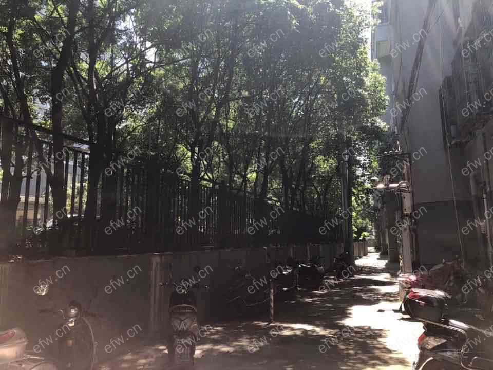 民丰里 1室1厅1卫