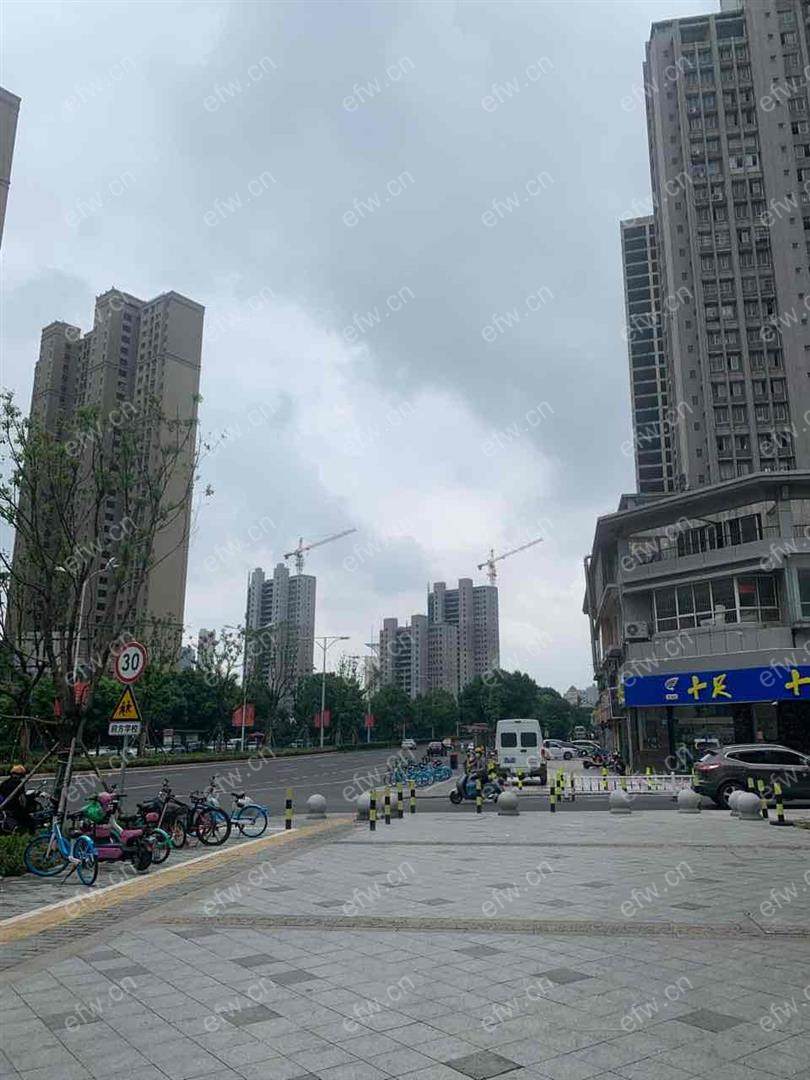 兴源北路638号（金马商城） 1室1厅