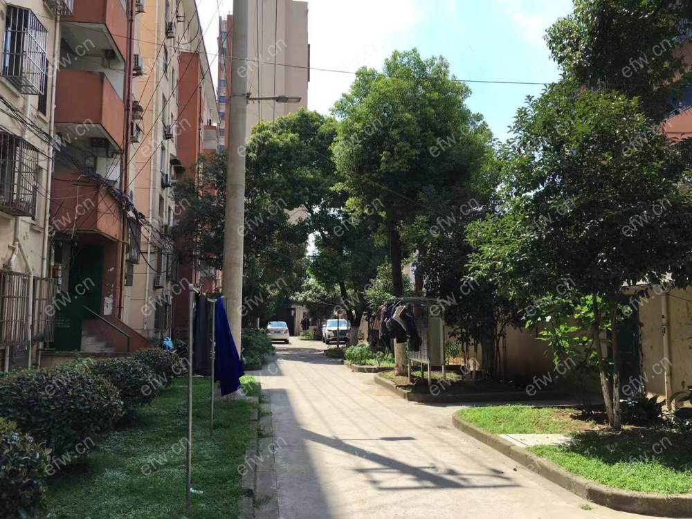 山明四村 2室1厅..........
