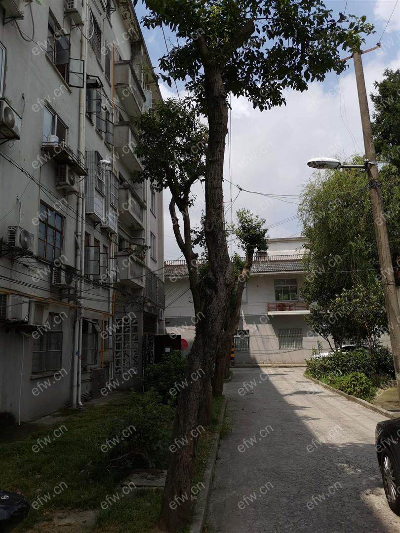清扬新村 1室1厅1