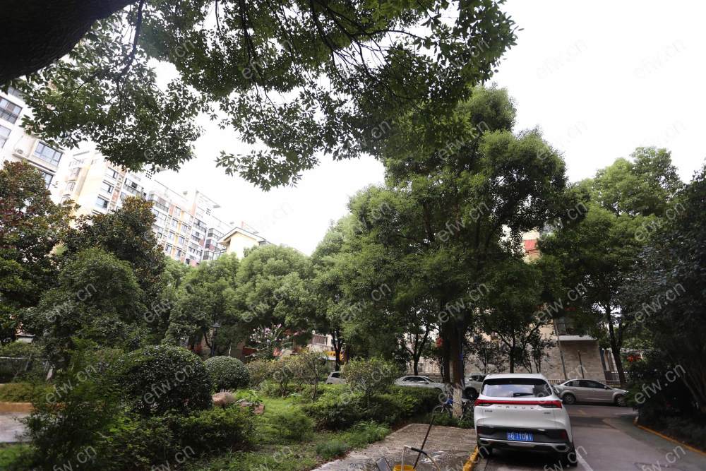 阳光城市花园B区 2室2厅