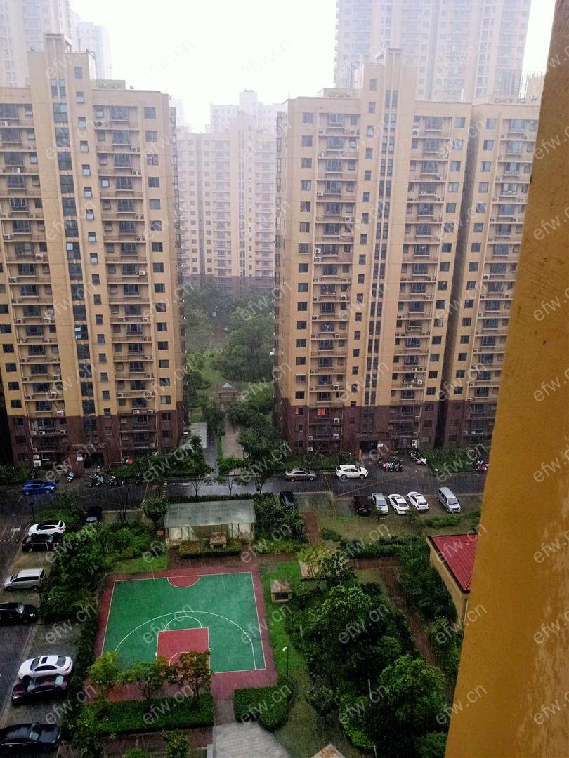 毛湾家园 1室1厅