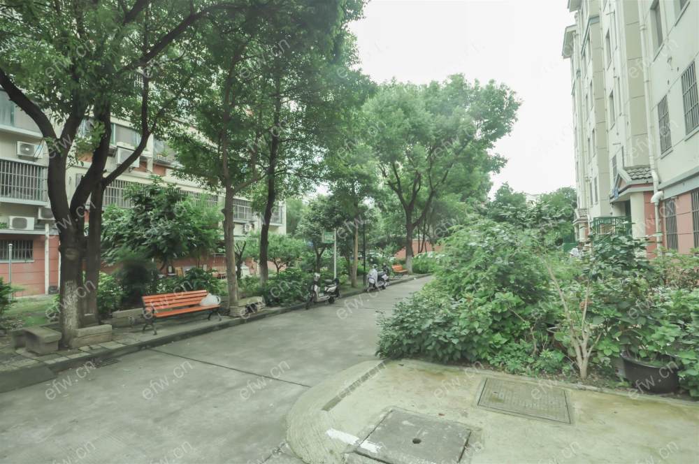金惠苑 3室2厅