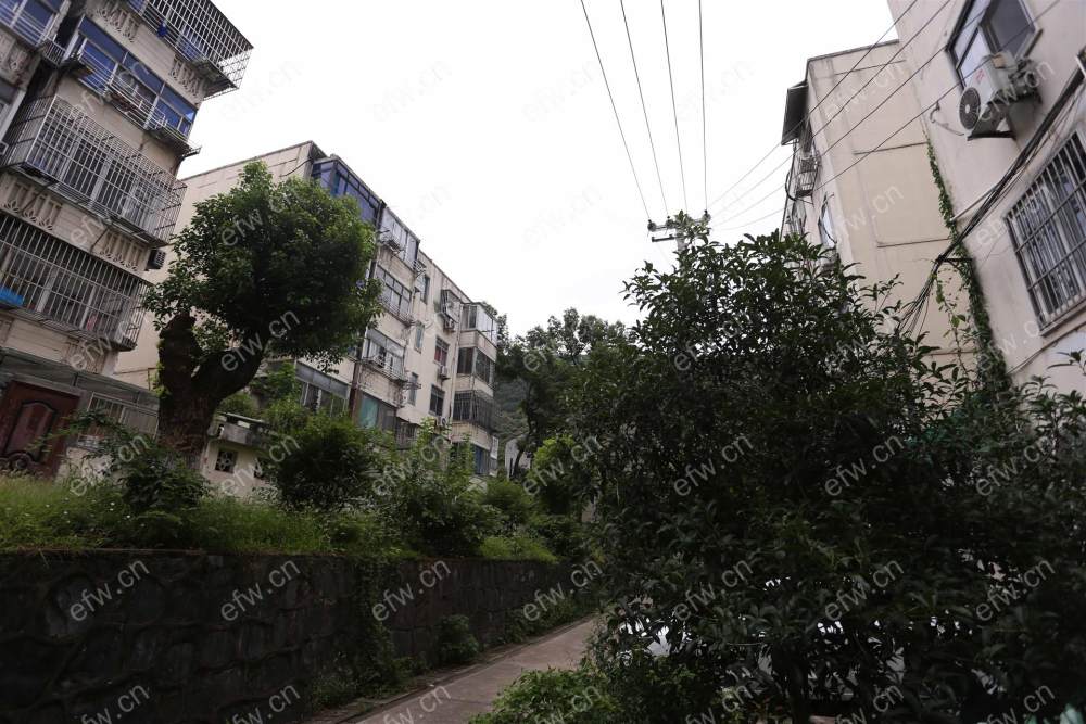 华晶新村 2室1厅