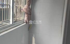 北尖 1室1厅1卫，看房提前预约