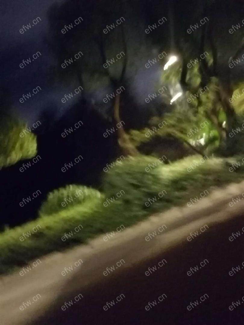 曹张新村 1室1厅