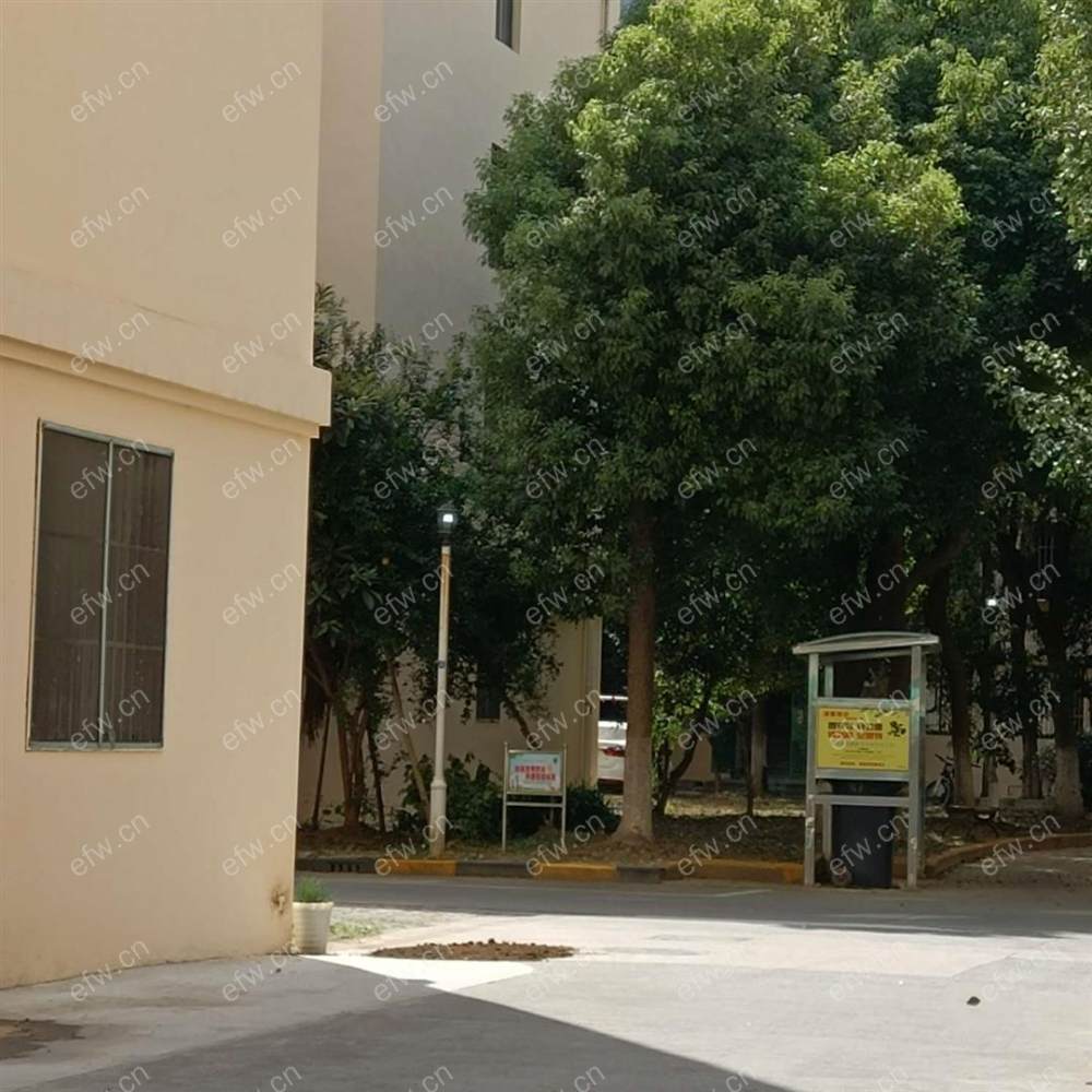 林陆苑精装2室  随时看房 拎包入住