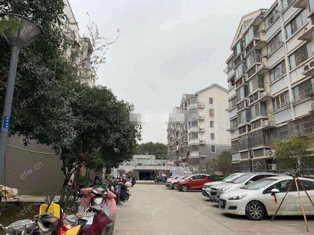 民丰北苑 2室2厅  拎包入住