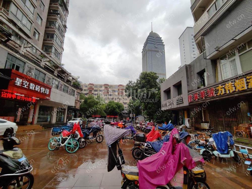 明珠广场   连元街小学.市的好房