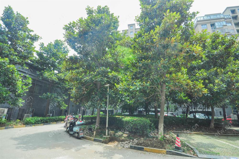 明发际新城(水岸雅苑) 3室2厅