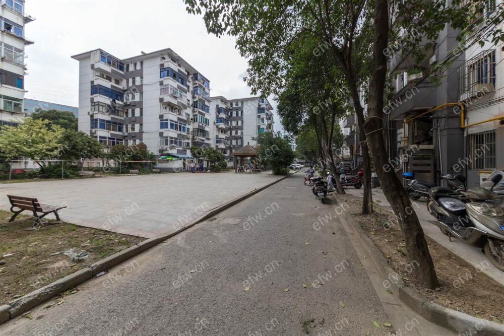 双河新村（双河一村） 难得一见的精装小户型,总价低,朝向好！
