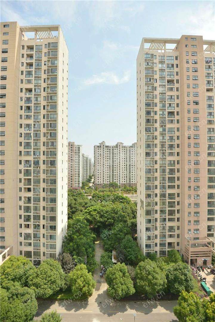 东顾巷家园 3室2厅