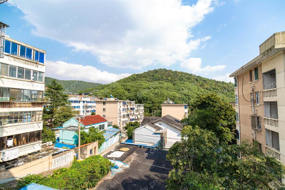 青松新村 2室1厅  精装自住1
