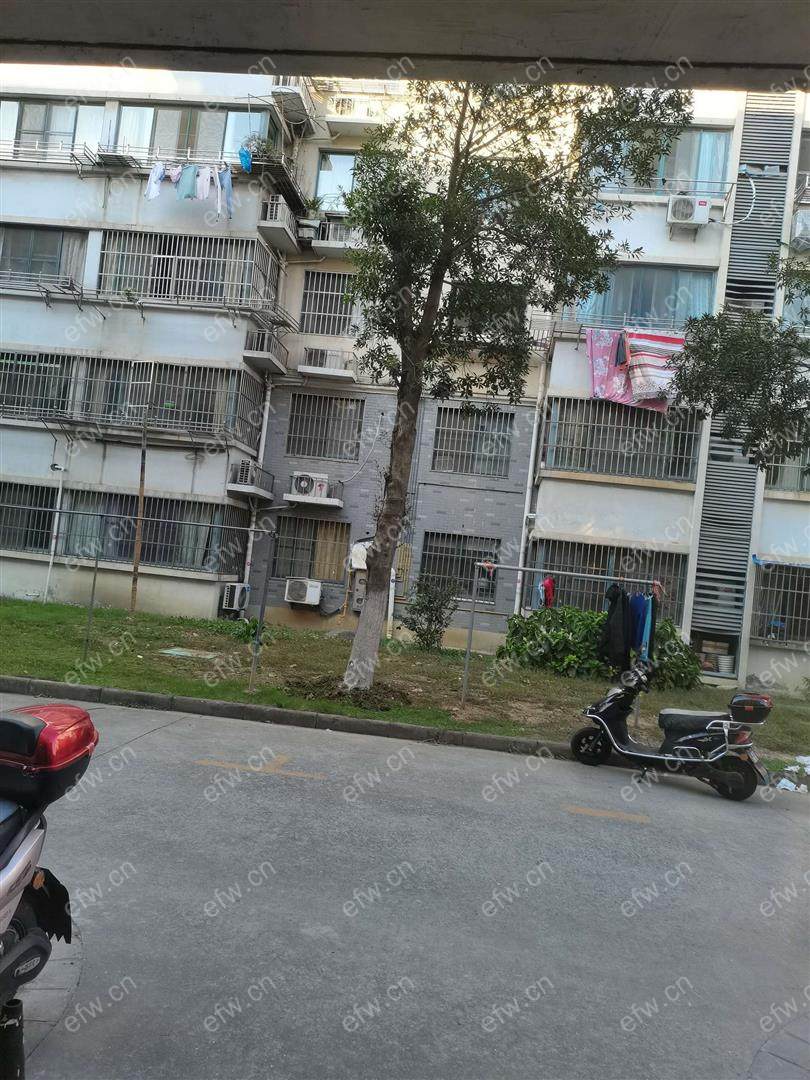 民丰西苑 2室1厅