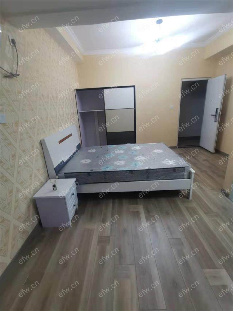 茂业豪园精装1室  随时看房 拎包入住