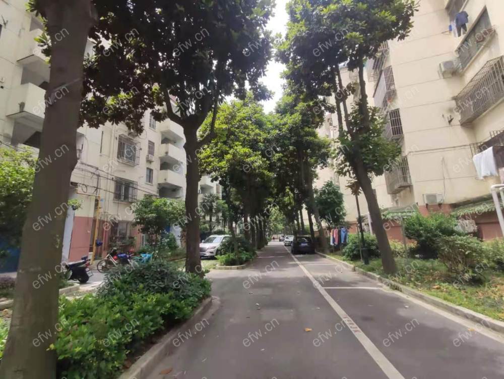沁园新村 2室2厅