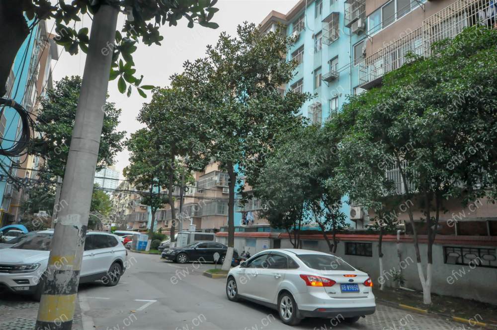 槐古二村 3室2厅房东诚心出售