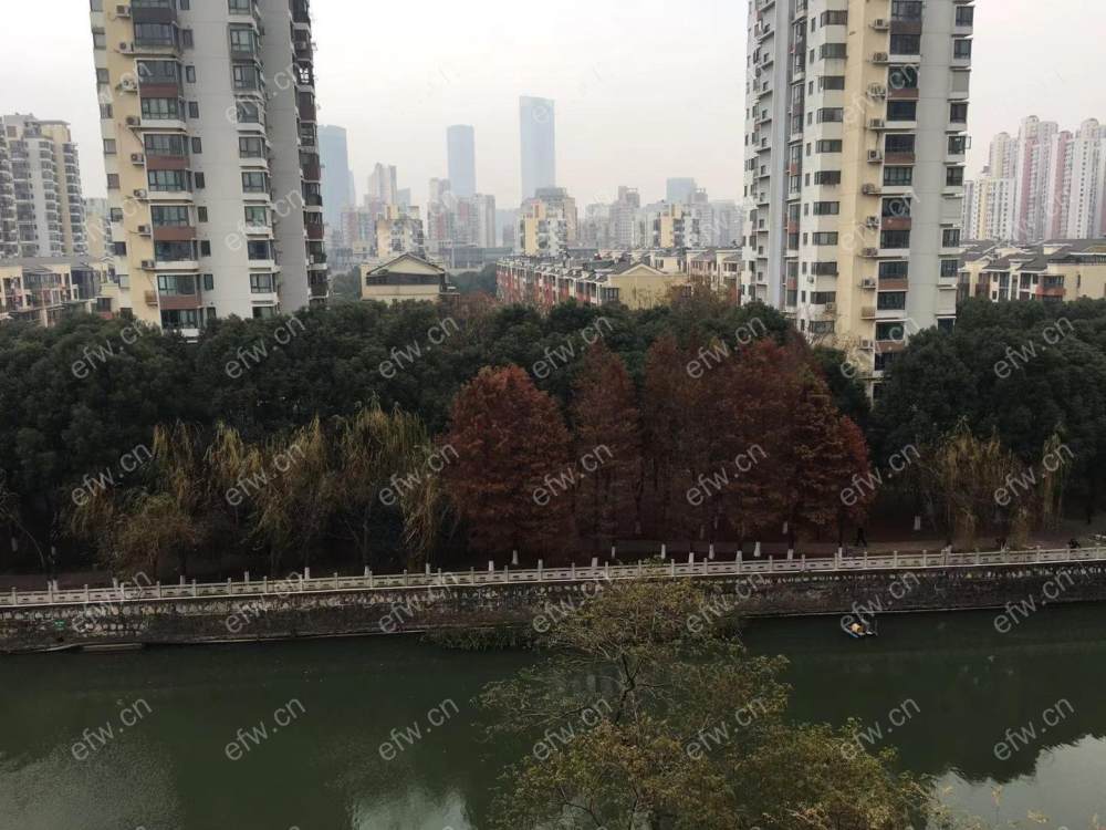 苏豪际 1室1厅