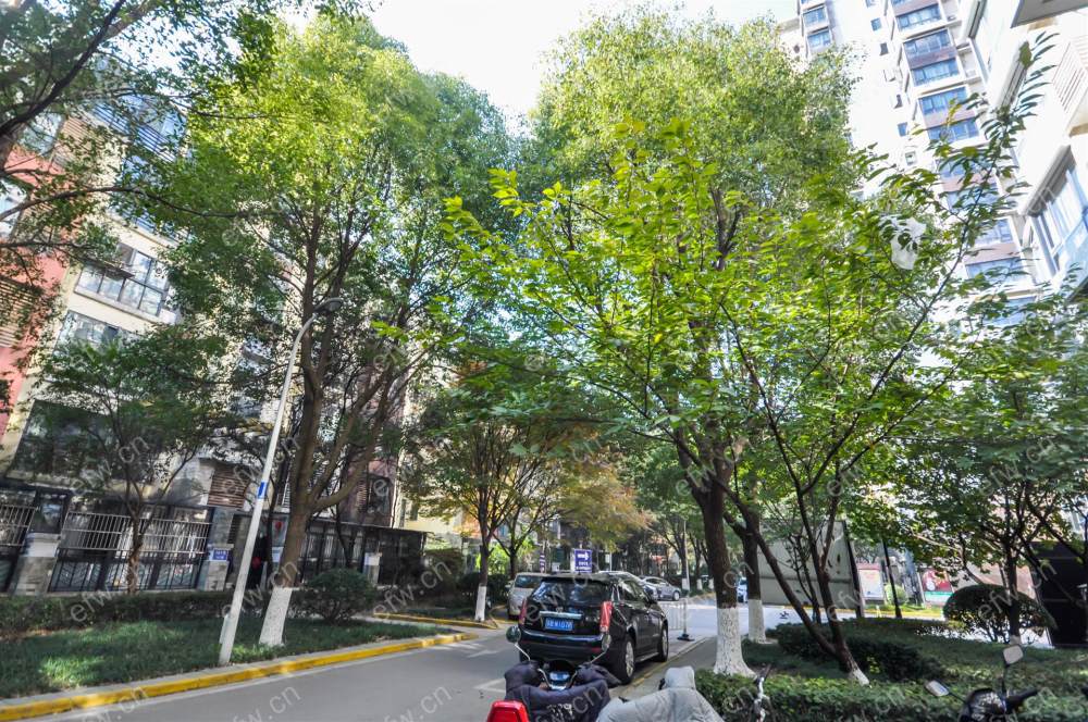 阳光城市花园C区 3室2厅