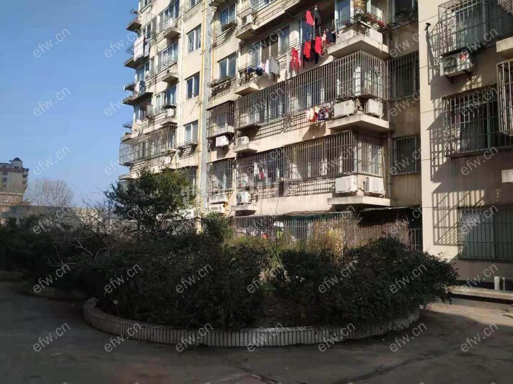 开源路 3室2厅11