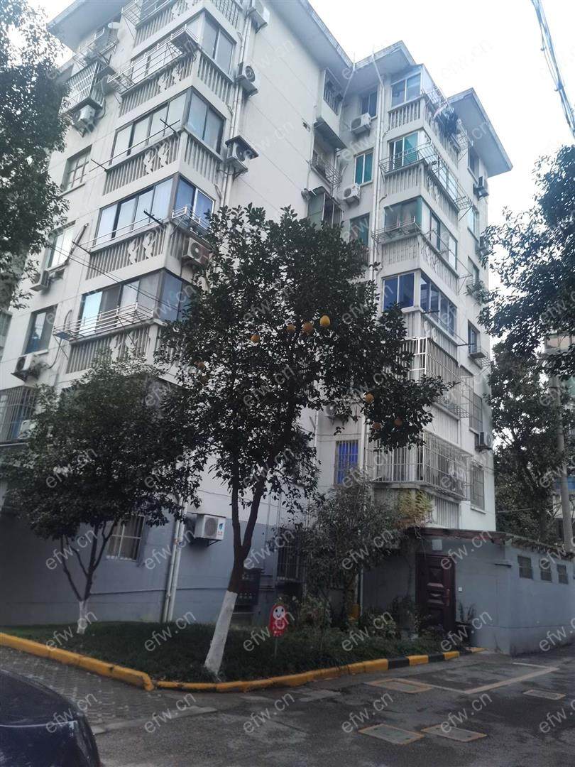 曹张新村 2室1厅