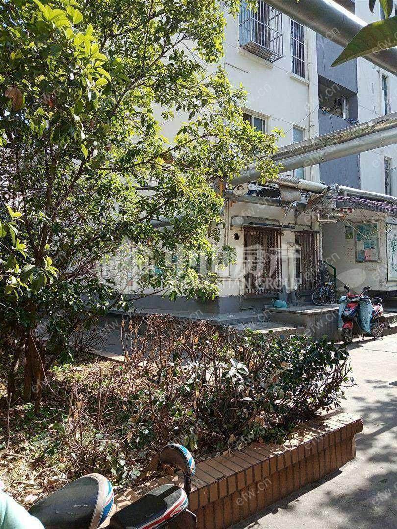 东河头巷 2室2厅小区中间位置，拎包入住；客厅宽敞、使用率高