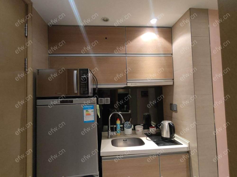 红豆际广场（中山路） 1室1厅