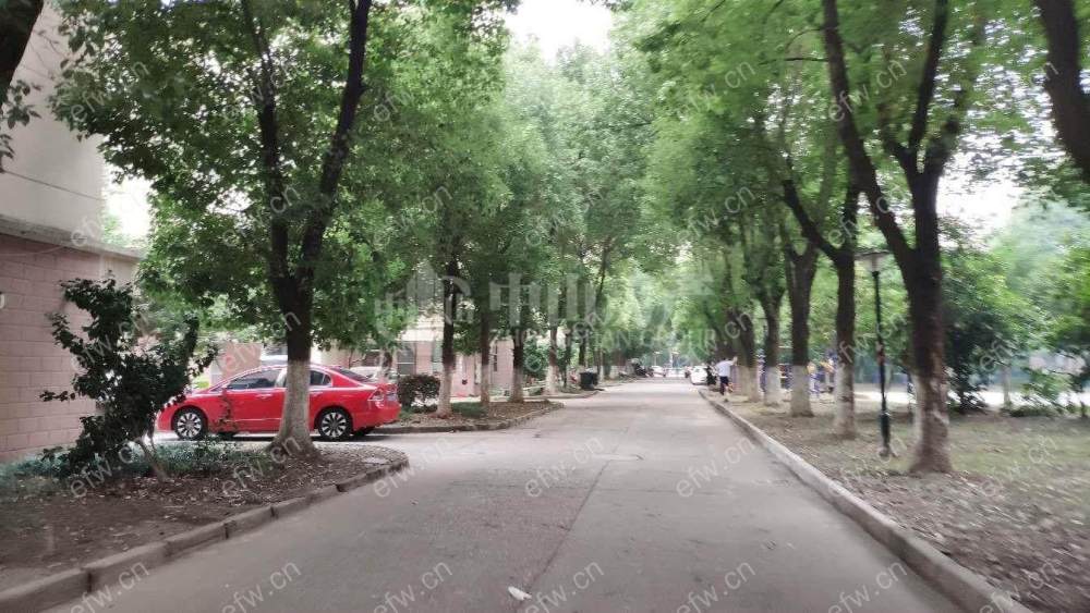 柏木苑 小区中间位置   精装修   4室2厅