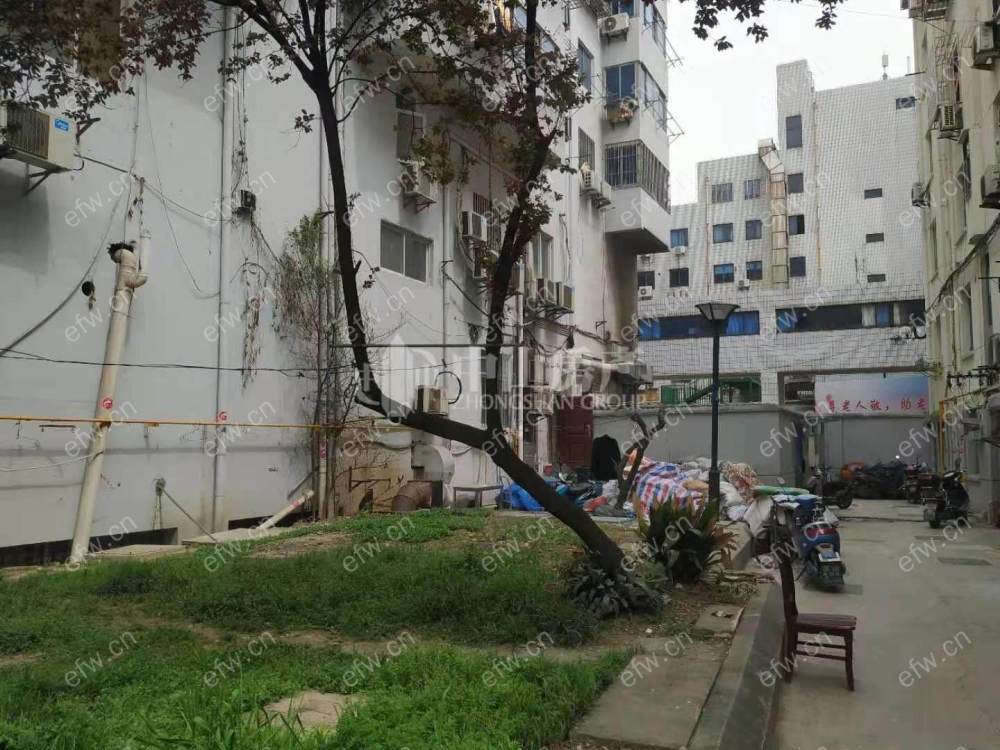 建筑新村 经典1房 东边户 全明 精装修！