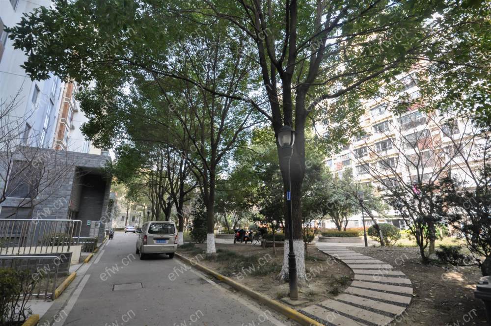 阳光城市花园C区 2室1厅 精装修拎包入住