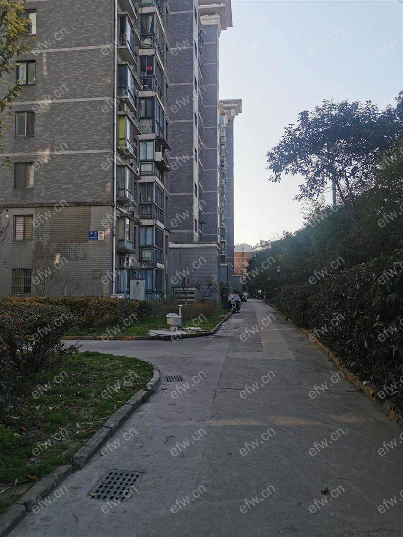 嘉德时代广场 1室1厅
