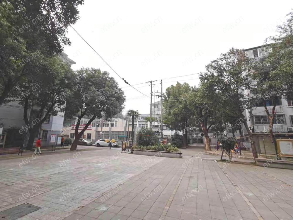 近茂业地铁口，2房朝南全明通透93年房龄