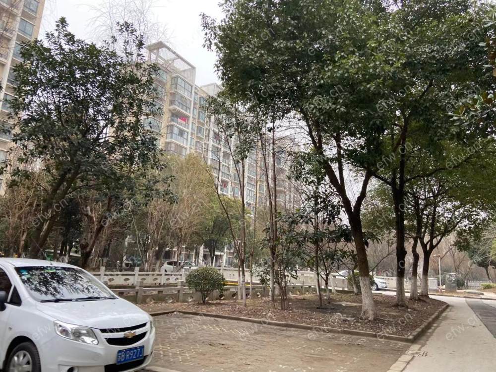 仙河苑二期北区 3室2厅