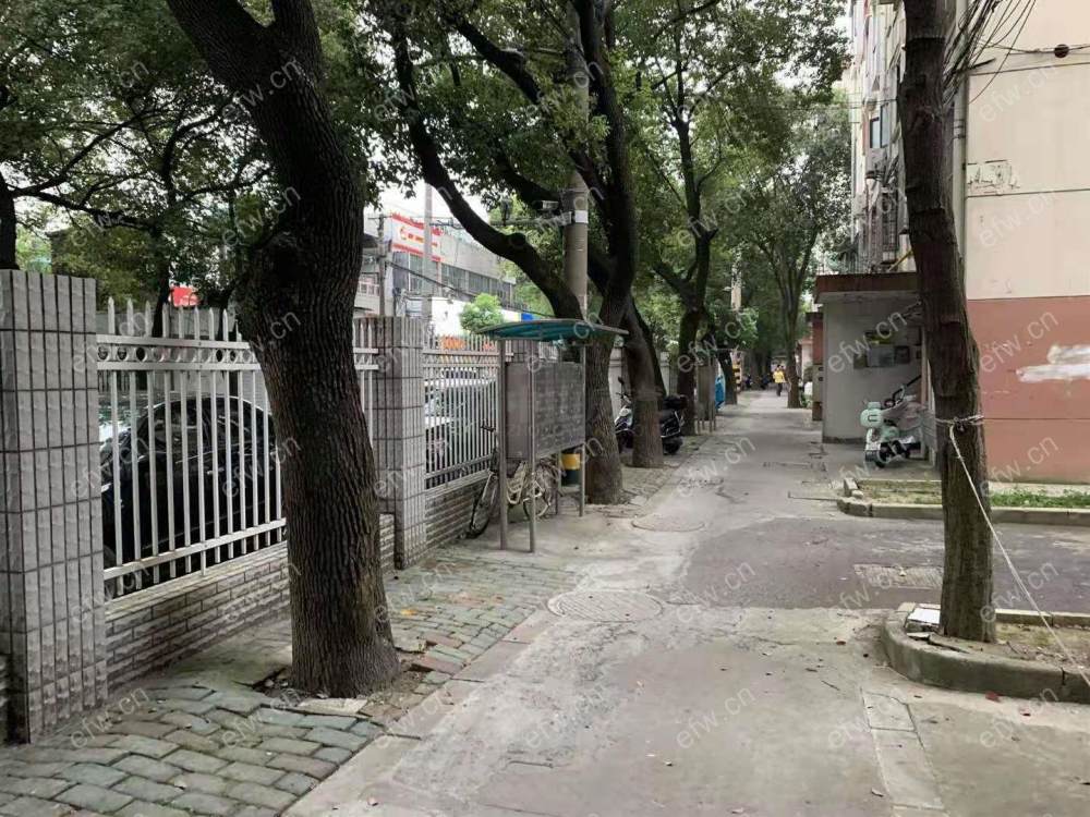 盛岸二村 1室1厅,,,,,