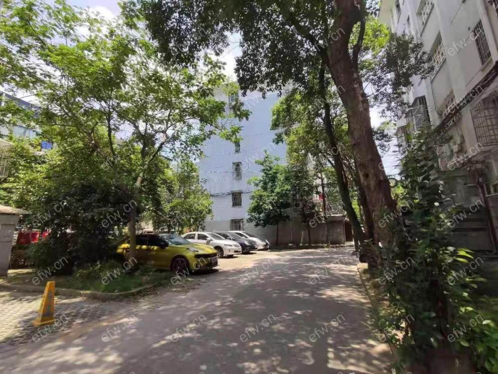 扬名一村 3室1厅3室1厅1