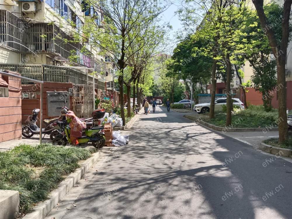 沁园新村 3室2厅一卫