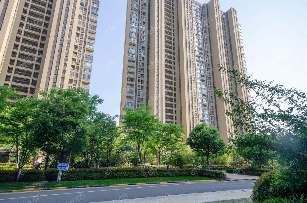 时代上河苑（九龙仓时代上河） 3室1厅