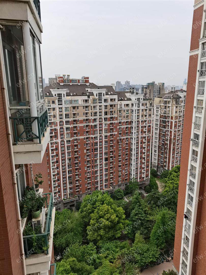 金马际花园 1室1厅
