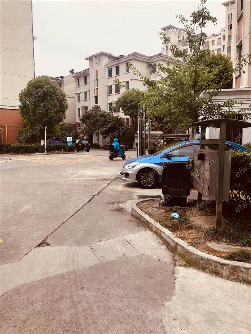 五星家园 2室2厅 精装修 电梯 双阳台