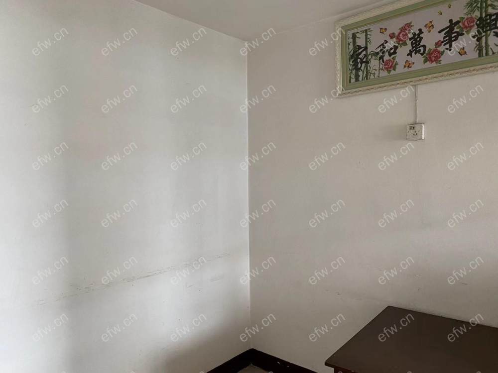 庄前新村（49-115） 1室1厅