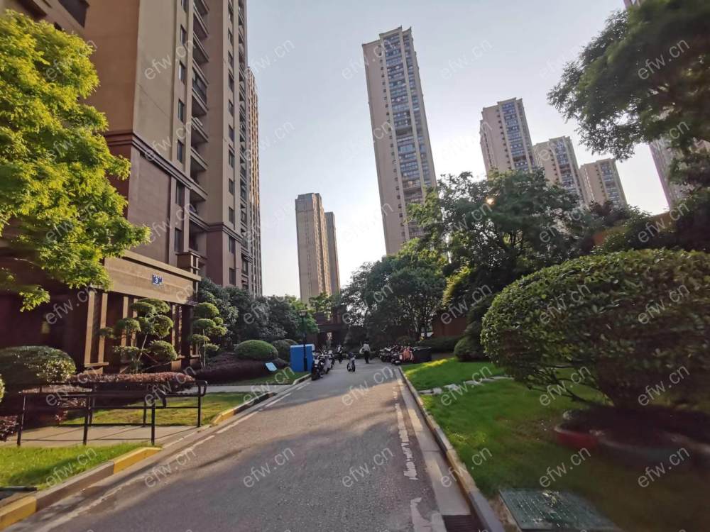 金科世界城E区 3室2厅，豪装修