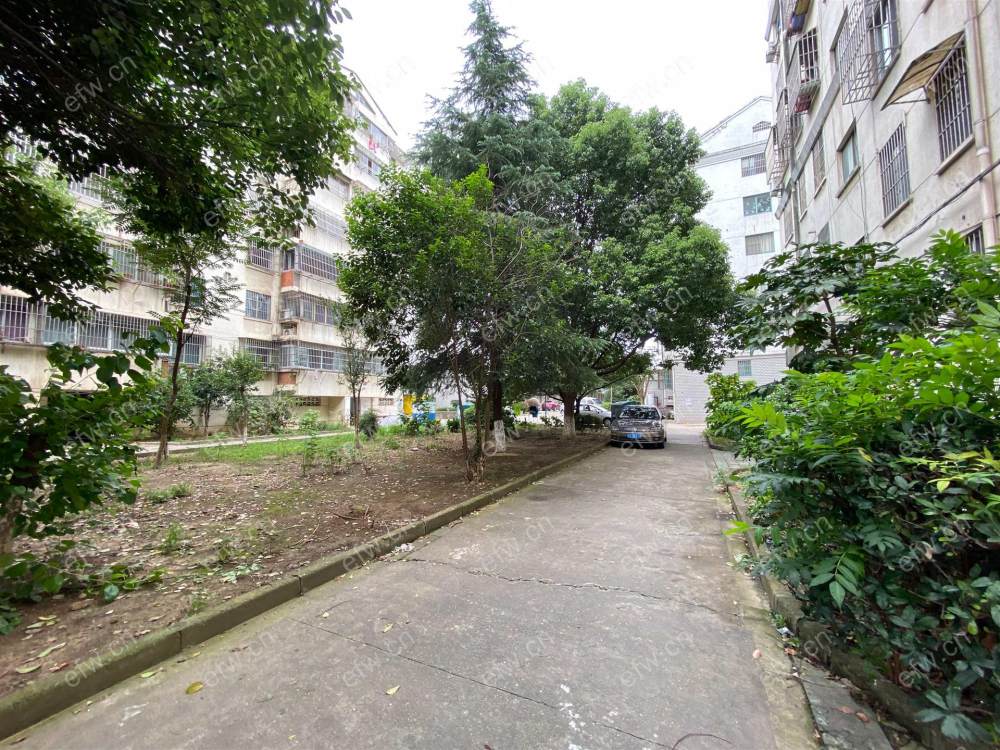 许巷新村 2室1厅