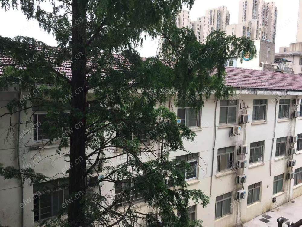 三毛纺家舍 2室2厅