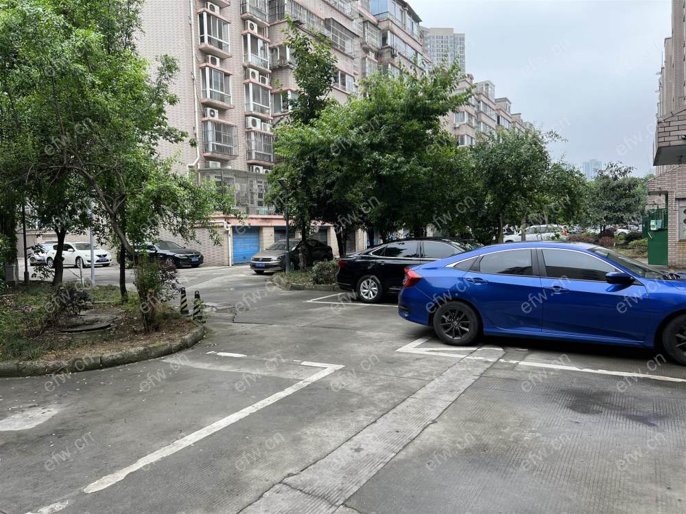 中星苑 1室1厅 精装修 环境好 拎包入住