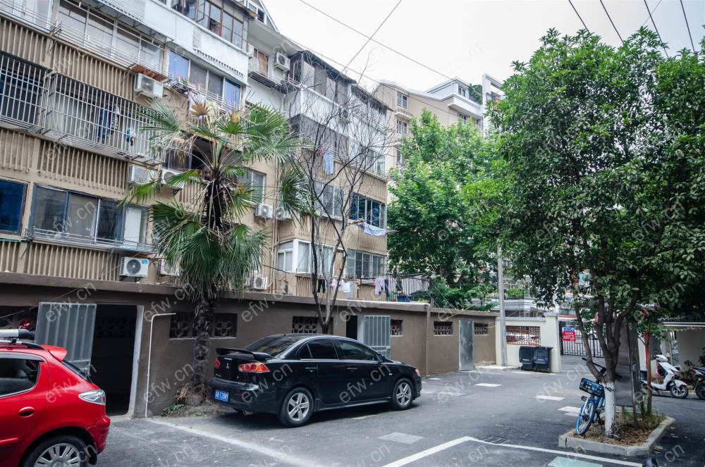 木樨新村 全新精装两房朝南 采光好 直接拎包入住型
