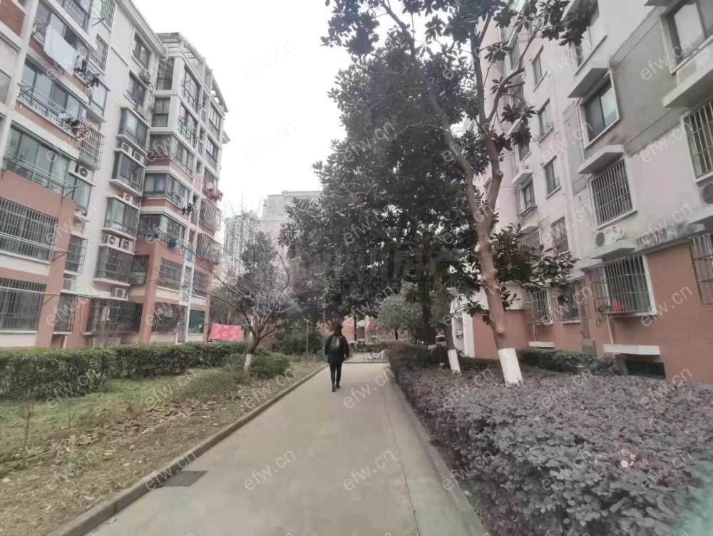 地铁人民医院沃尔玛超市精装采光无敌五星家园无土出三房