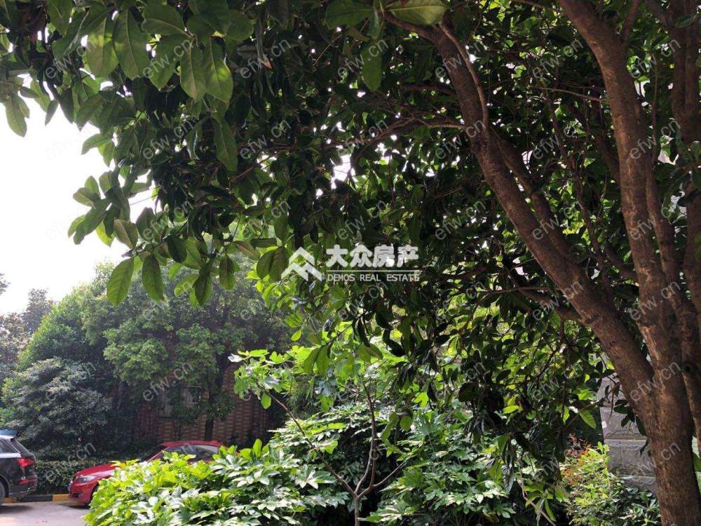 春来苑 1室1厅