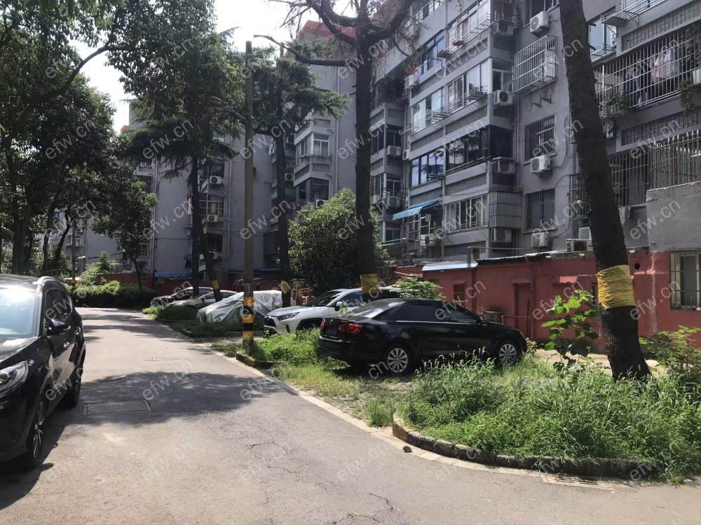 芦庄二区精装3室  随时看房 拎包入住