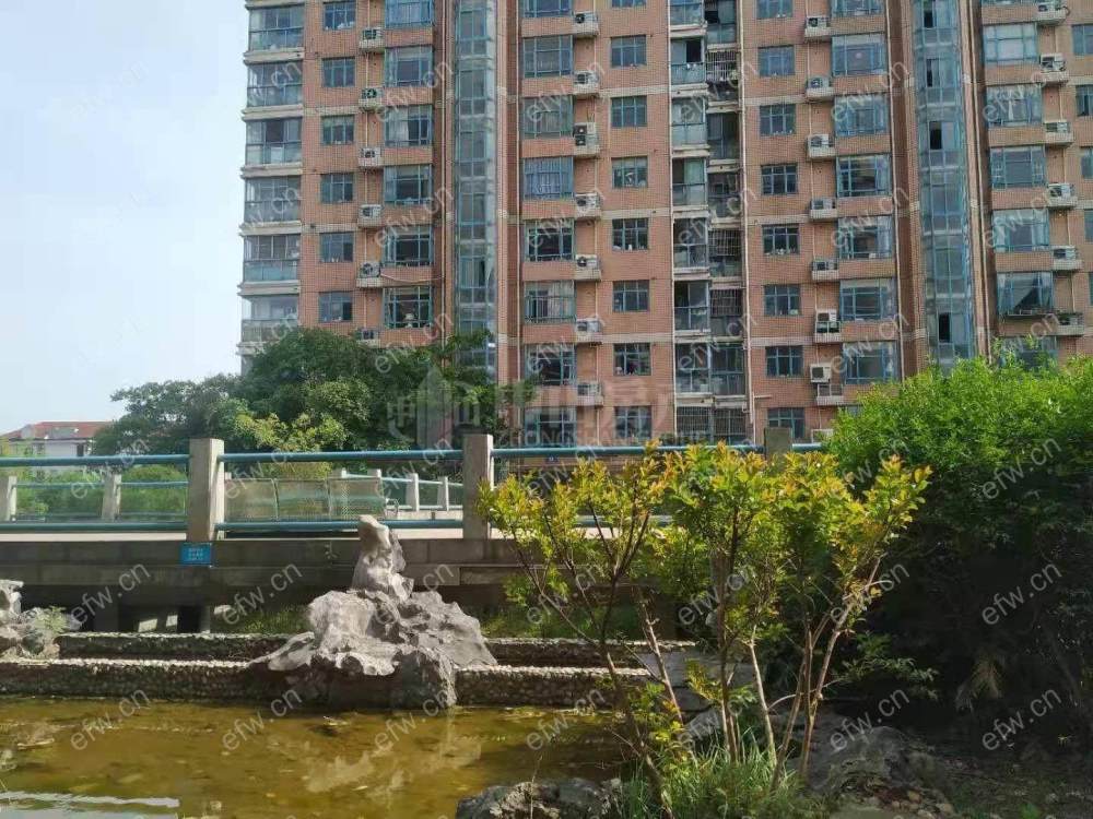 槐古豪庭 1室1厅 单间带电梯