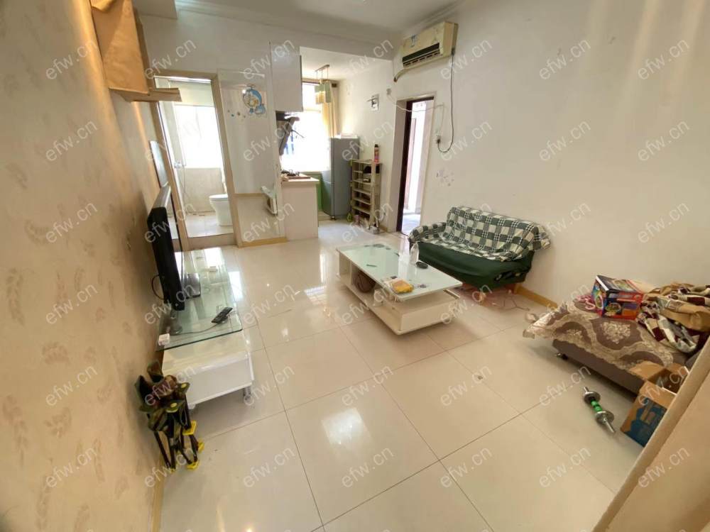 village room房 全明户型 另送家电